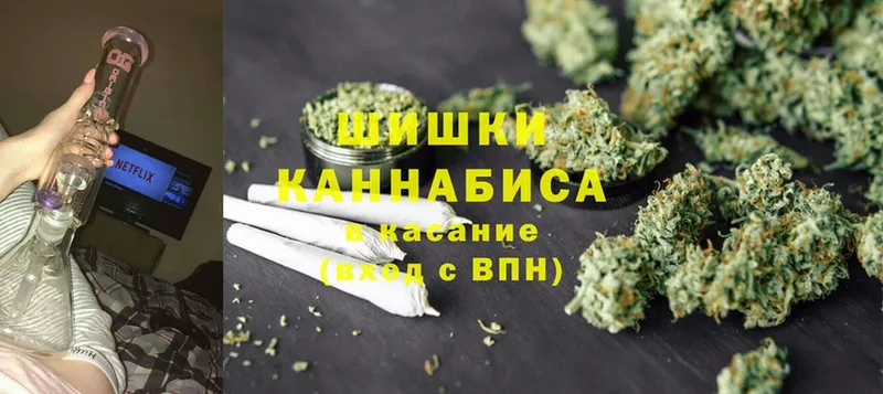 Конопля SATIVA & INDICA  хочу наркоту  Зеленоградск 